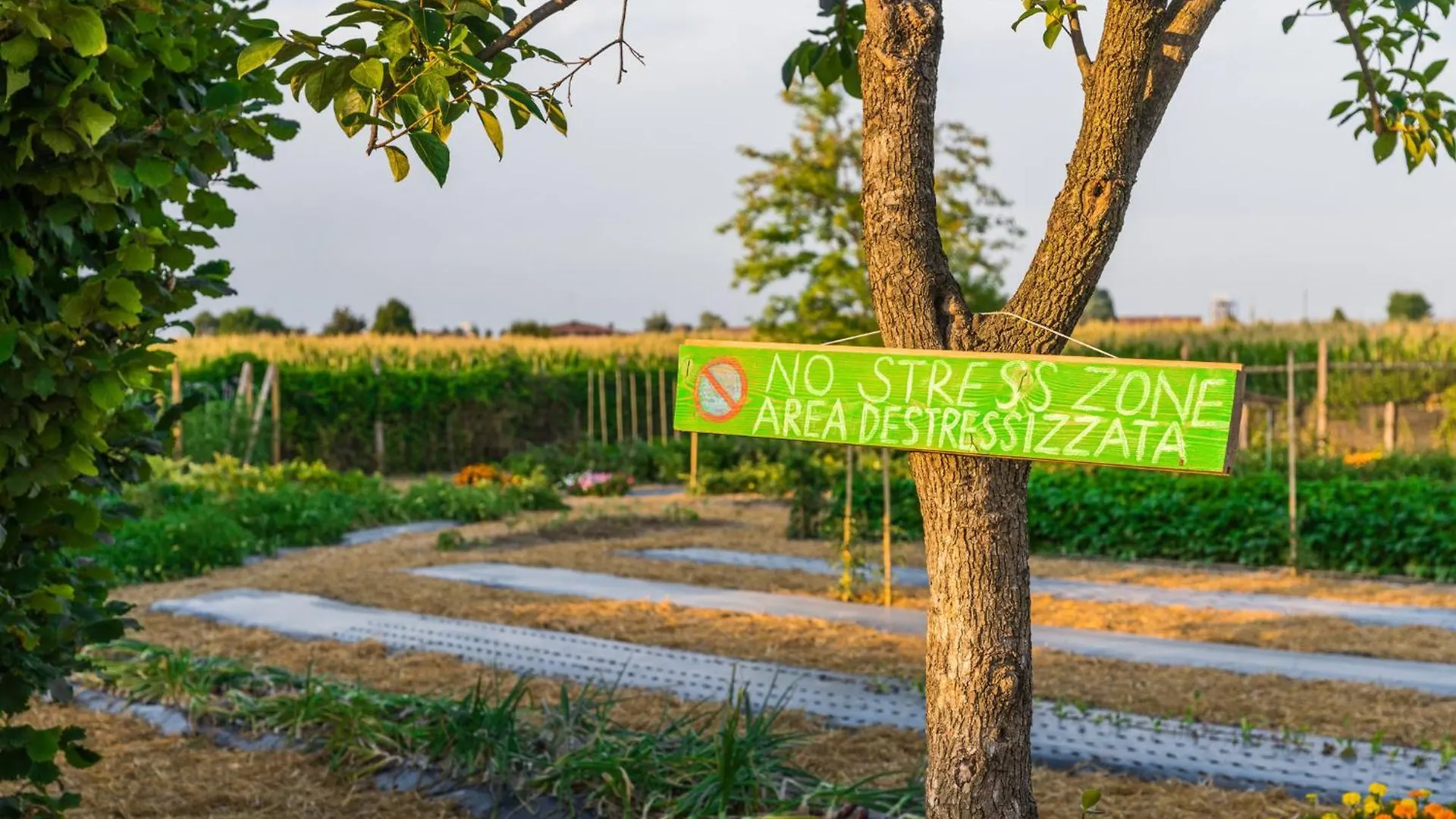 La Posa Degli Agri Bed & Breakfast Legnaro