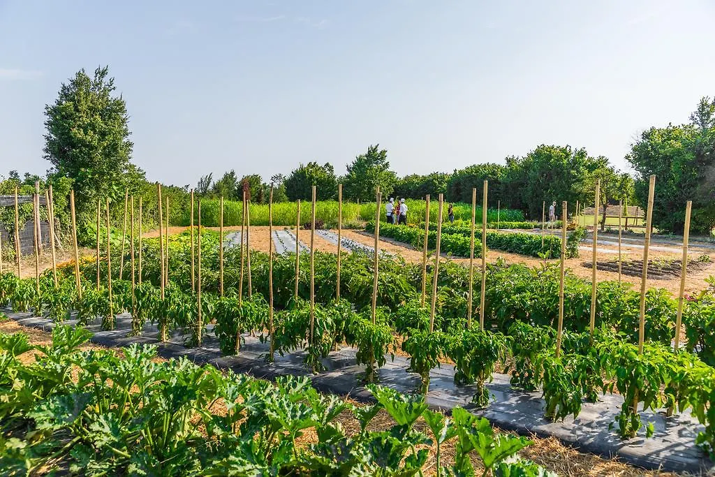 Legnaro La Posa Degli Agri B&B